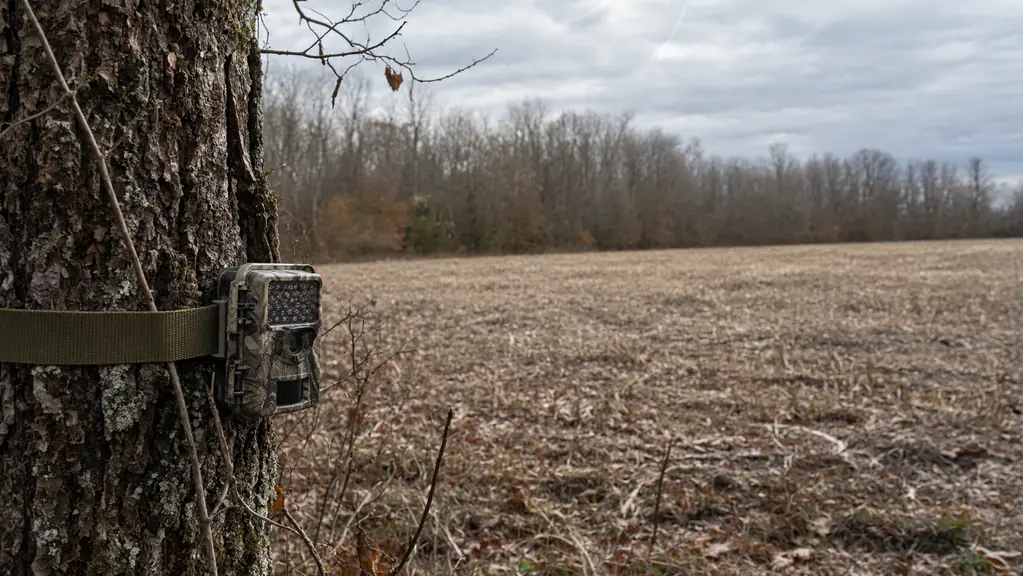 WOSPORTS Mini Trail Camera Review: A Season of Real Use